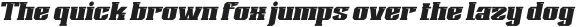 SUGAQI Slant otf (400)