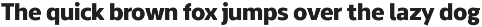 The Main - Modern Sans-Serif preview