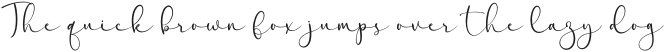 Youth Hidalea Script otf (400) Sample