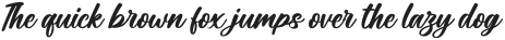 Elbrush Signation Script Solid otf (400)
