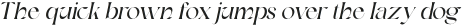 Charming Serif Italic otf (400)