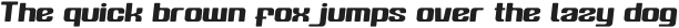 Sportnex Athletic Italic otf (400)