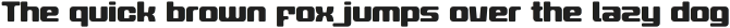 Gymaxim Sportnet Regular otf (400)