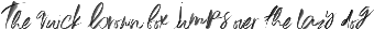Okay Boldface Regular otf (700)