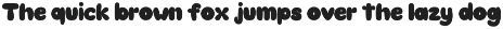 Holly - Display Font font preview