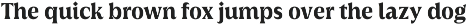 Griggs Serif preview