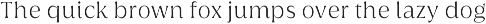 Griggs Serif preview
