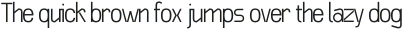 Baroque Grotesk Light otf (300)