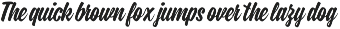 Flank Steak Font Duo preview