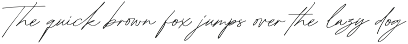Margita Signature preview