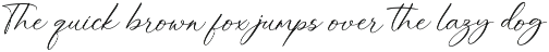 Silent Noise// Modern Font Duo preview