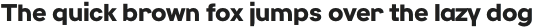 Reply ExtraBold otf (700)