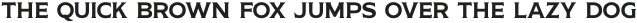 RTCO Fransworth Two Serif otf (400)