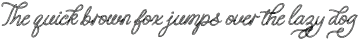 Howdy Handsome Texture otf (400)