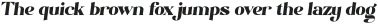 Modern Negra Slant ttf (400)