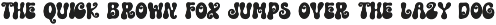 Hocus Pocus - Retro Halloween font preview