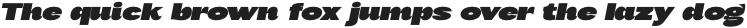 NAOMI Black Italic otf (900)