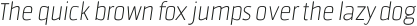 Fortuita Thin Italic otf (100)