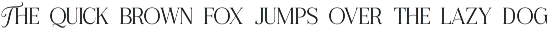 LaFemme Vibe | Serif Font preview