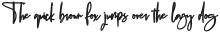 Amstrong Script Bold Regular otf (700)