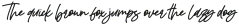 Twenty Night Italic otf (400)