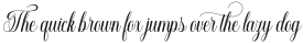 Beatrice Script Regular otf (400)