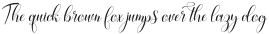Audacity Script Regular otf (400)