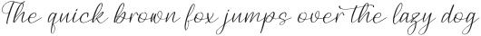 Birdelian Yashintta Italic otf (400)