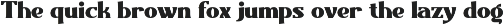 Little Tokyo - Cute Serif Font preview
