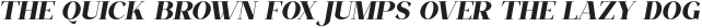 Filora Italic otf (400)