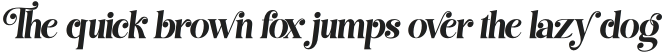 Best Swashed Italic Italic otf (400)