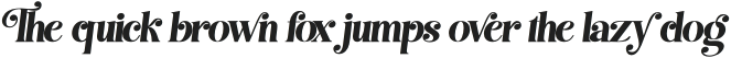 Best Swashed Bold Italic Bold Italic otf (700)