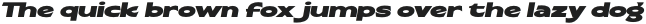 Ransel Bold Italic otf (700)