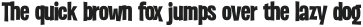 WUB - Internight Regular otf (400)