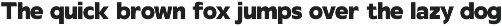 Rafine preview