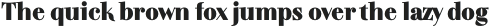 TA Regresso Text Rounded Light otf (300)