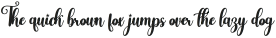 Hardwork Italic ttf (400)