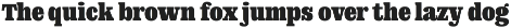 DT Augustina Slab 1 Subfamily font preview