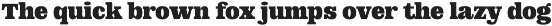 DT Augustina Slab 2 Subfamily font preview