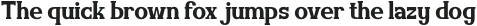 Amuttix-Regular otf (400)