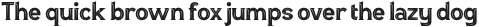 LATUNNER inline otf (400)
