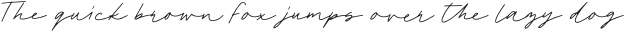 Palm Desert Script otf (400)