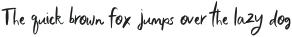 Chamonix Script otf (400)