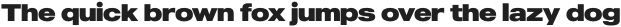 MADE Outer Sans otf (900)