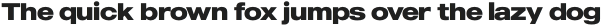 MADE Outer Sans otf (700)
