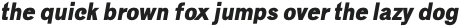 Geneva-Sans light-italic otf (300)