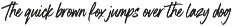 Boston Skyline Font Duo font preview