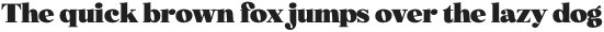 Norfolk Serif otf (400)