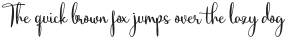 Chigland script Regular otf (400)