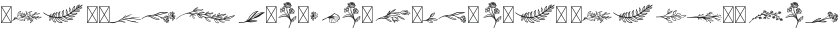 Ora Script Embellishments otf (400)